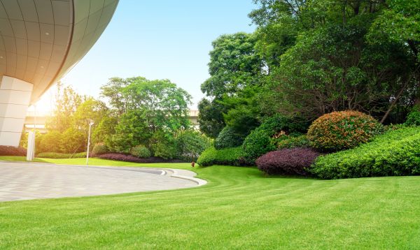 Commercial Shrub Trimming in Lake City