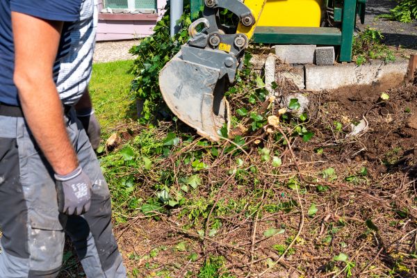 Hedge Removal Service in Lake City