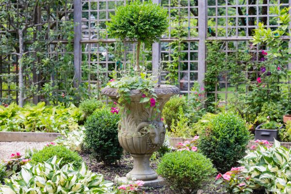 Cost of Topiary Pruning in Lake City