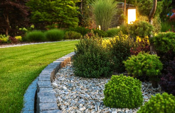 Cost of Bush Relocation in Lake City