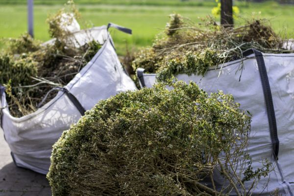 Cost of Shrubs Removal in Lake City