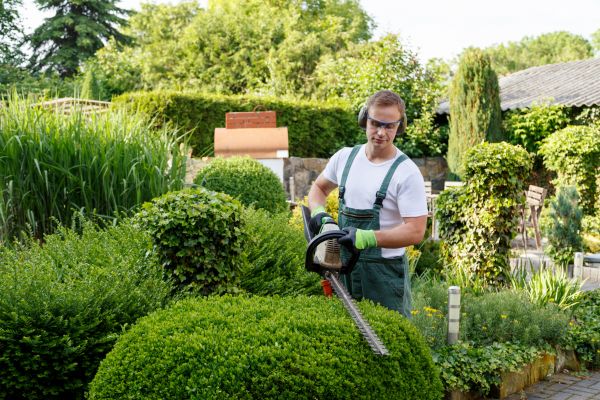 Shrubs Trimming in Lake City